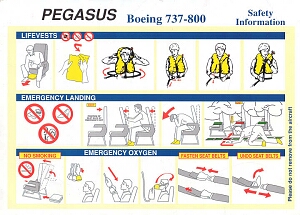 pegasus boeing 737-800.jpg